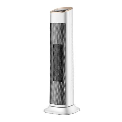Household vertical intelligent automatic heater (4)